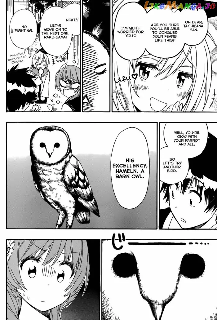 Nisekoi Chapter 142 image 09_optimized